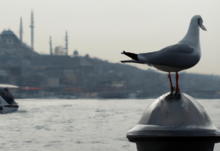 rüyada erkekte kadın organı görmek