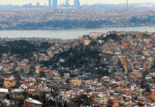 rüyada buzağı görmek ne demek