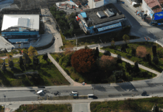 rüyada çakal görmek nedir