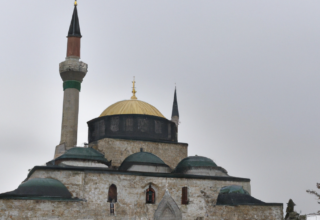 rüyada fare yavrusu görmek diyanet