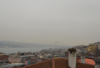 rüyada başkasında bit görmek