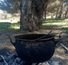 rüyada eski eşini mutlu görmek