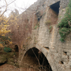 ruyada altin tek tas yuzuk gormek