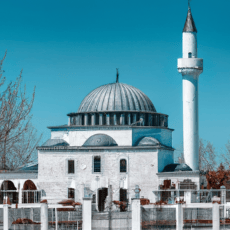 rüyada kaplumbağa görmek