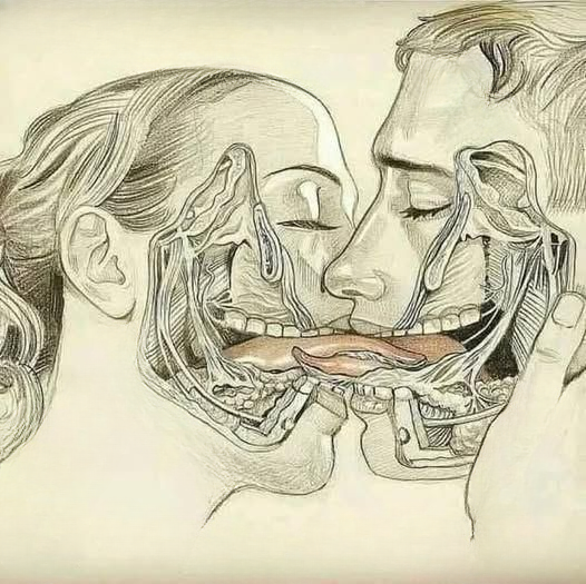 What Really Happens When We Kiss With Our Tongue: The Science, Emotions, and Health Behind It