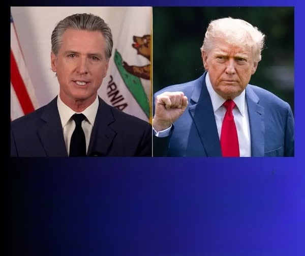 DHS Conducts Immigration Enforcement Operation in Los Angeles, Detaining Undocumented Immigrants