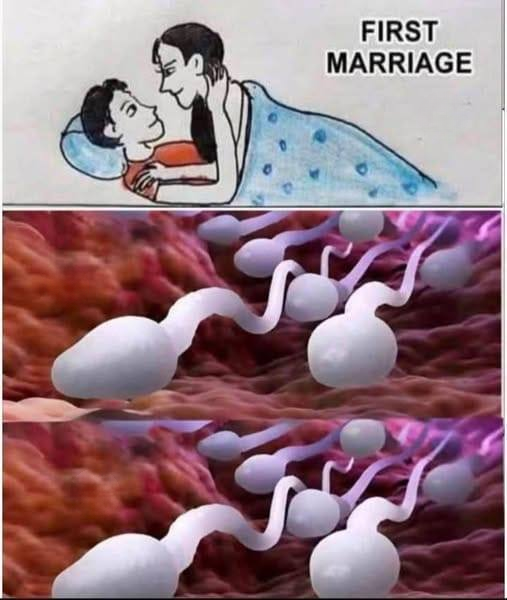 Studies explore the impact of intimate fluid exchange on health