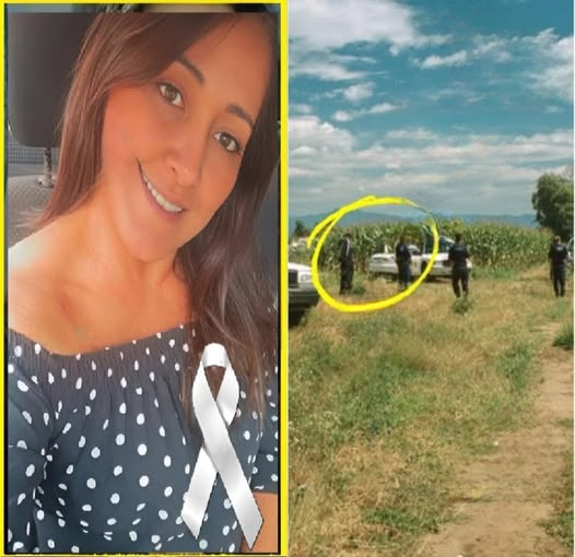 Tragic Afternoon Collision in La Romana Claims One Life, Leaves Two Injured — Community in Mourning