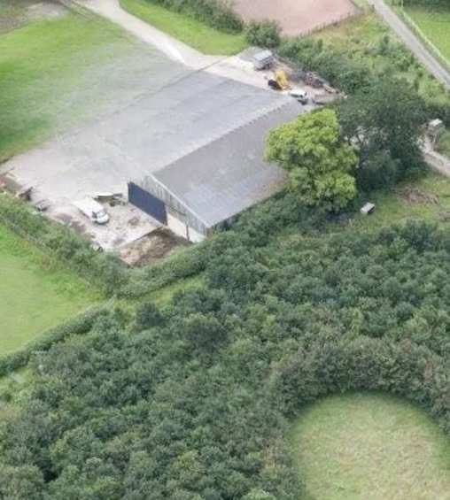 A Husband’s Extraordinary Tribute: 6,000 Trees Planted in Memory of His Late Wife Reveal a Hidden Love Story
