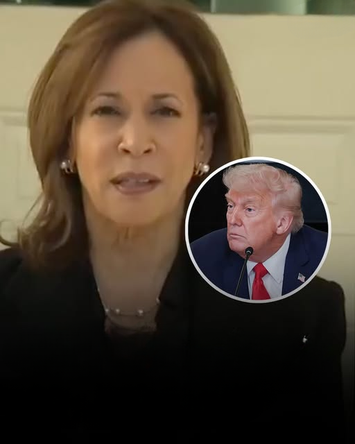 Social Media Buzz: Kamala Harris’s Past Remarks About Trump Resurface and Spark Nationwide Debate