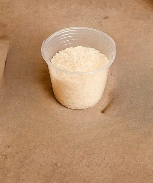 Natural Ways to Keep Rats and Cockroaches Away from Your Home: How Rice and Other Simple Remedies Can Help