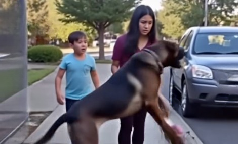 Heroic K9 Senses Child’s Silent Plea — His Discovery Leads to Dozens Being Rescued