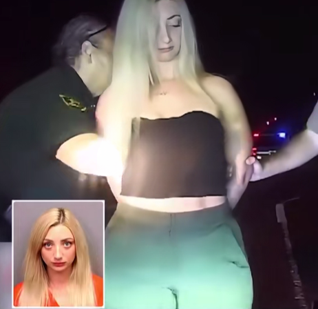Florida Woman Receives Sentence Following Controversial Police Search That Ignites Public Outcry