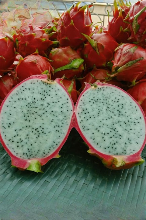 Dragon Fruit Secrets: Discover the Incredible Health Benefits of This Tropical Superfood