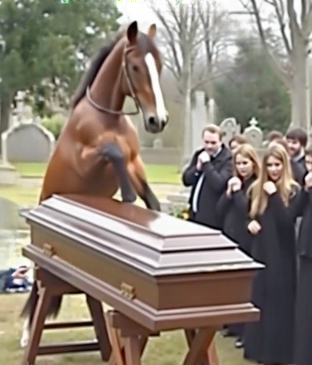 The Unbelievable Day My Horse Revealed a Dark Secret