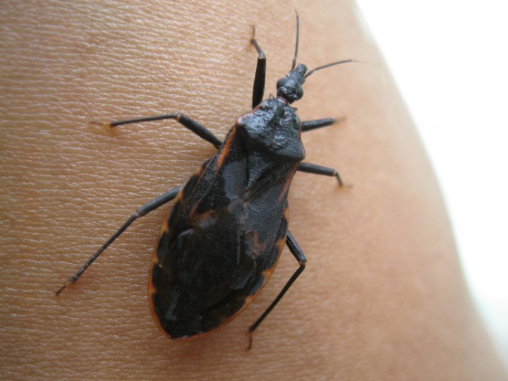 A Hidden Health Threat That Often Goes Undetected at Night