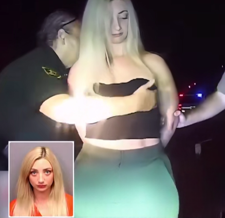 Florida Woman’s Sentencing Sparks Debate Over Police Search Practices and Civil Rights