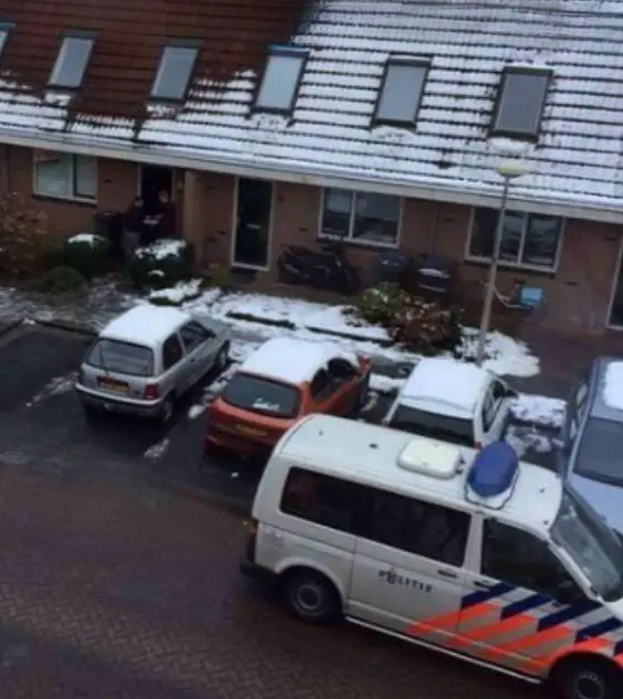 The Mystery of the Snow-Free Roof: How a Dutch Village Uncovered an Unusual Secret