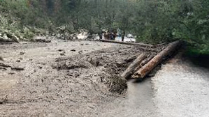Highway 99 Disaster: Mudslide Claims Lives and Shakes British Columbia Community