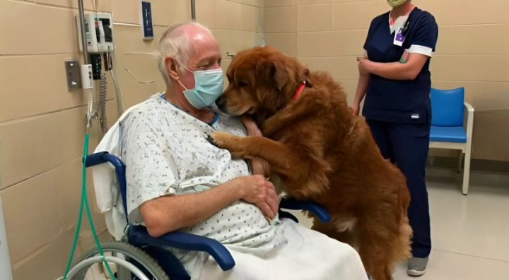 He Fought to Stay Alive, Constantly Asking for ‘Murphy’ — The Identity Remained a Mystery