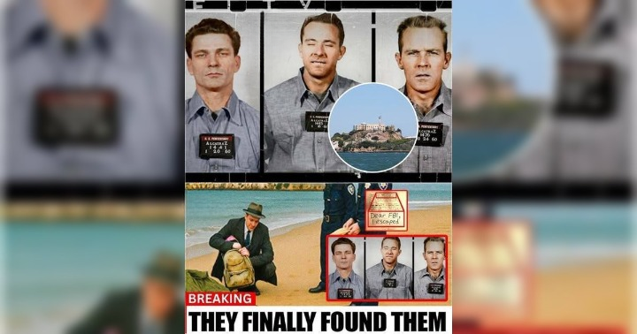 Decades Later, tssshe Hidden Truth of Alcatraz Escape Surfaces